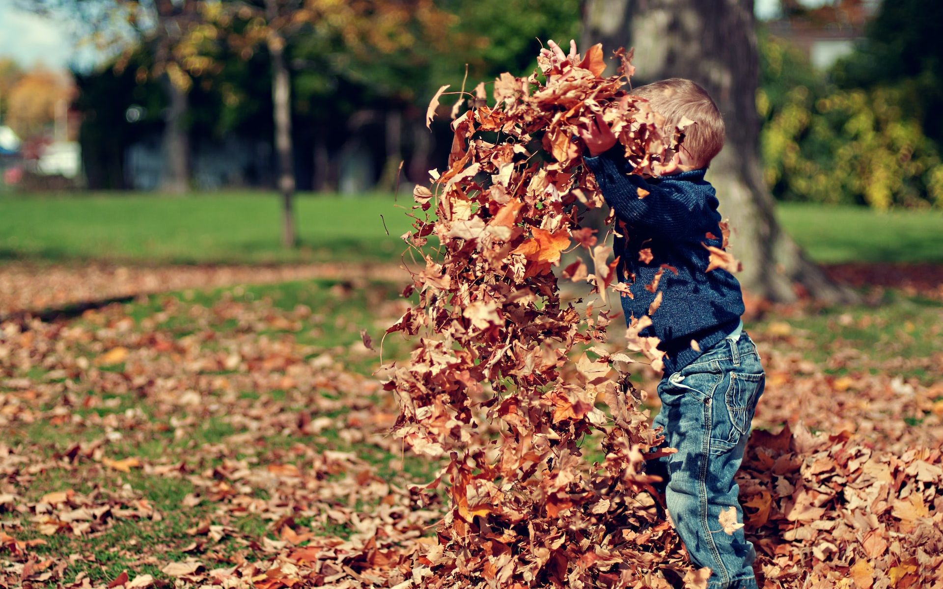 kid playing in a pile of leaves