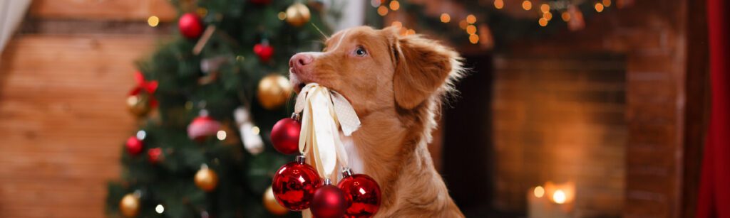 Holiday Loan Landing Page Banner