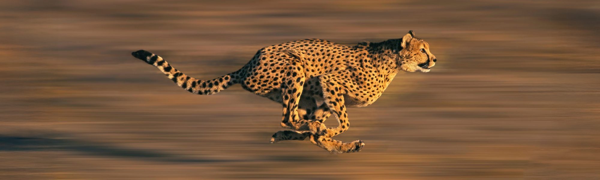 121025_UCCU_QuickCash_Update_Digital__OfferGraphic