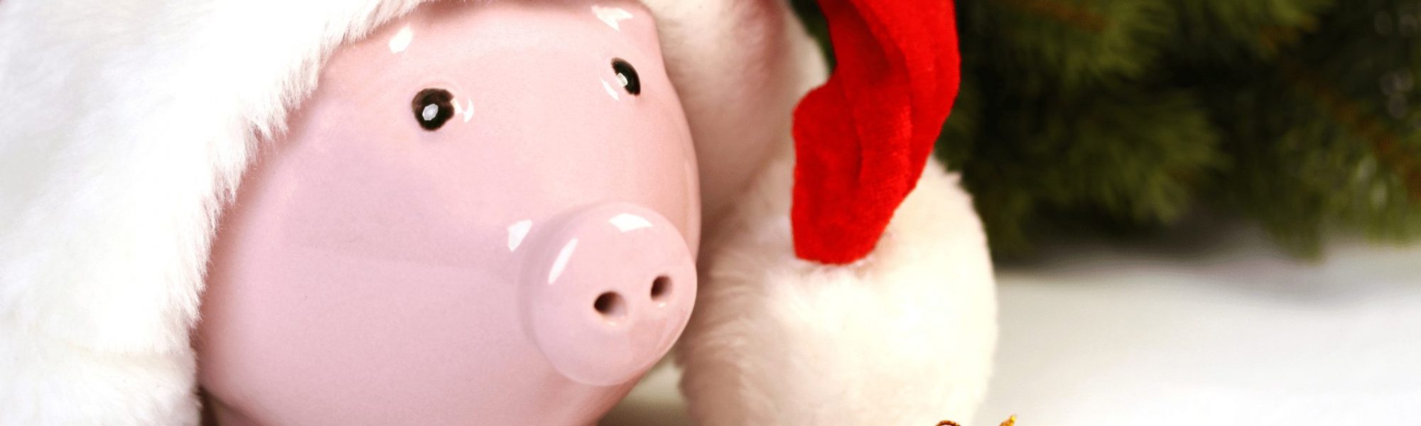 Piggy bank with santa hat